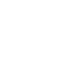 33qf icon