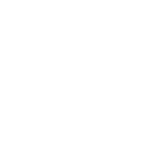 33qf icon